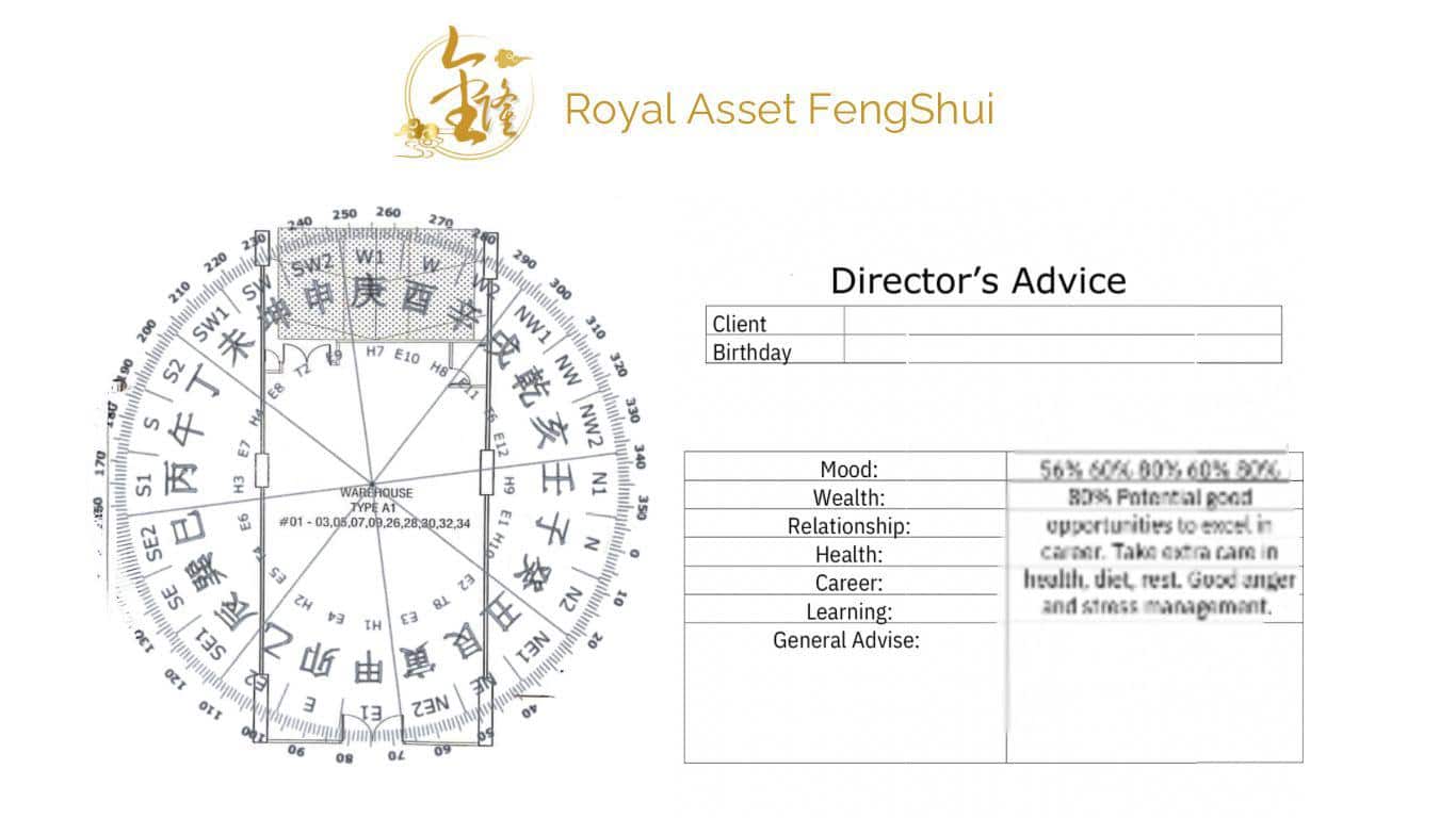 Business Fengshui Report Picture